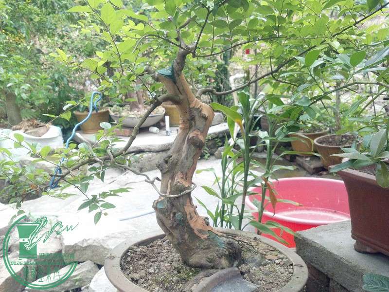 2015-04-22_14-34-30_231_www.moumu.com.jpg