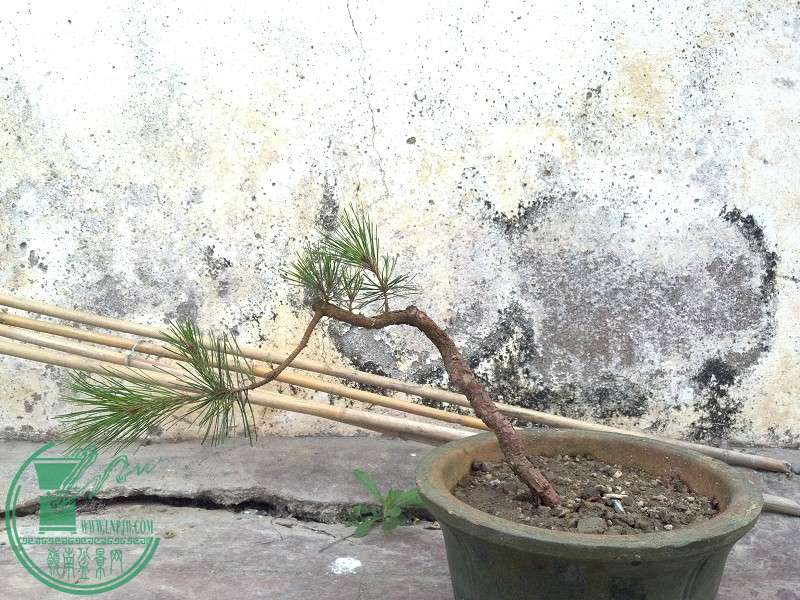 2015-04-22_12-27-58_898_www.moumu.com.jpg