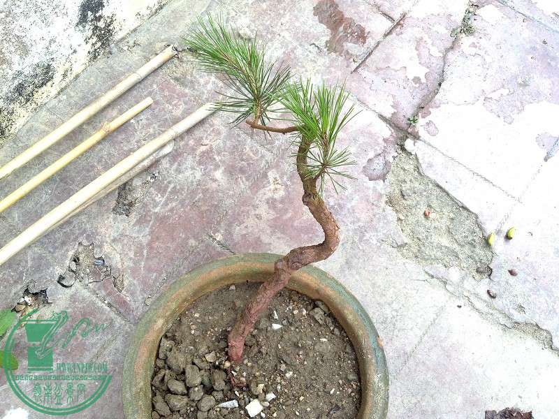 2015-04-22_12-28-43_982_www.moumu.com.jpg