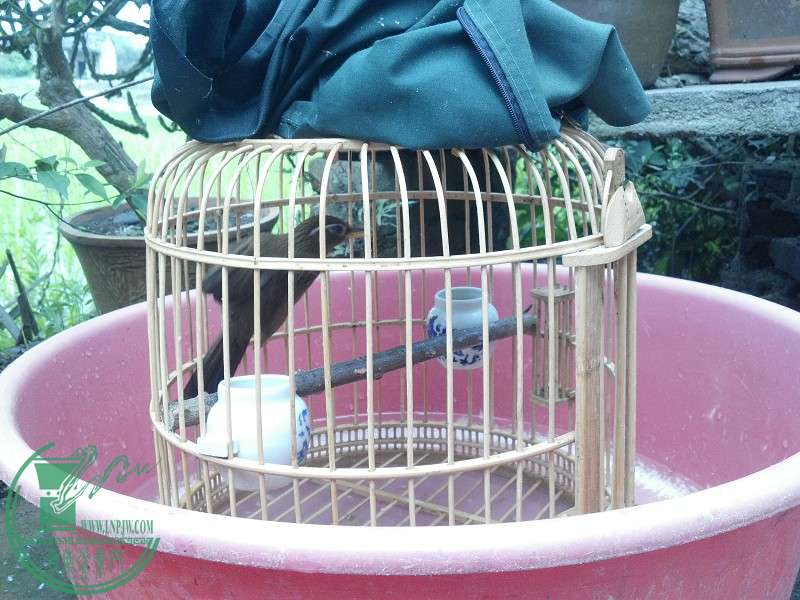2015-04-22_12-24-57_979_www.moumu.com.jpg
