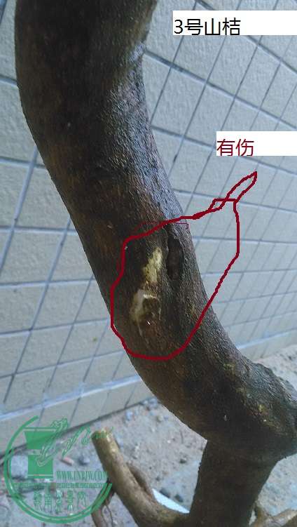 QQͼƬ20150422190103.jpg