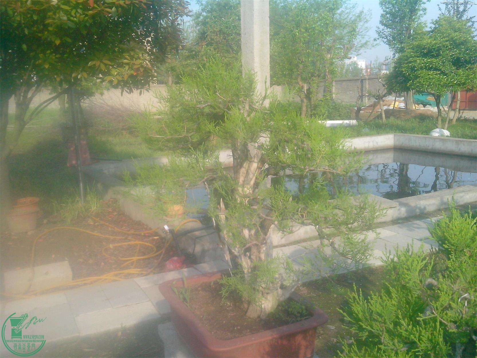 IMG20150421011.jpg