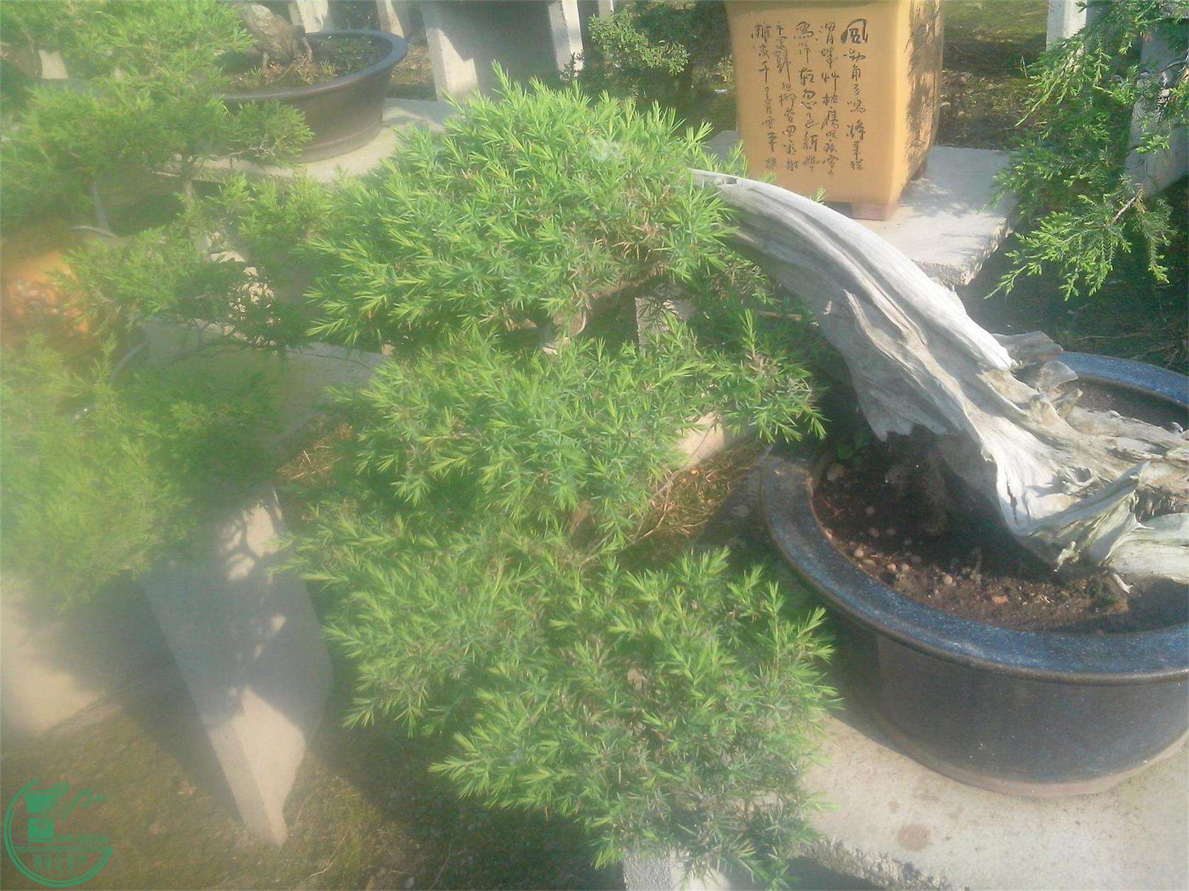 IMG20150421015.jpg