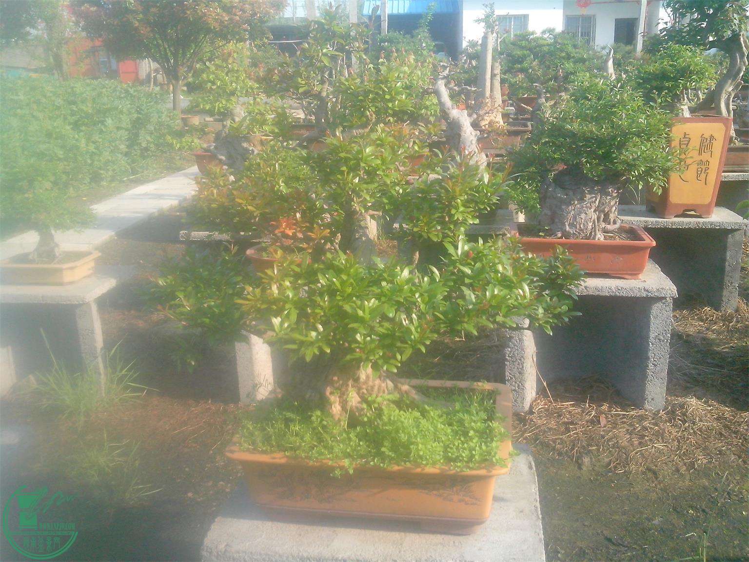 IMG20150421023.jpg