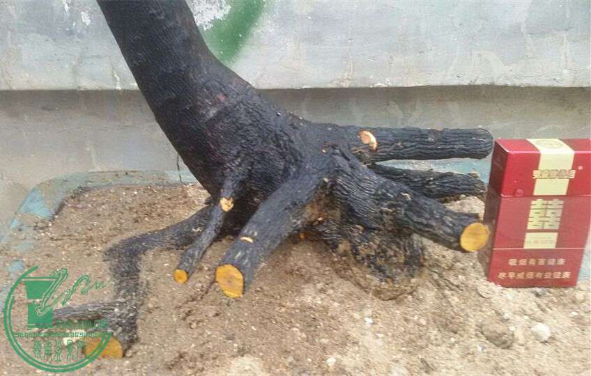2_.jpg