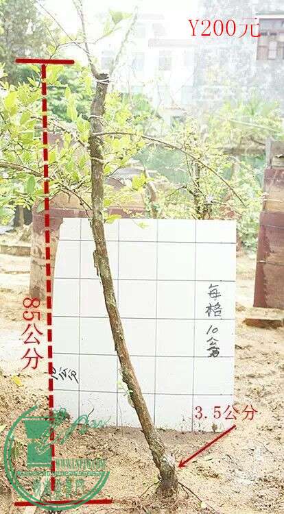 QQͼƬ20150416210421.jpg