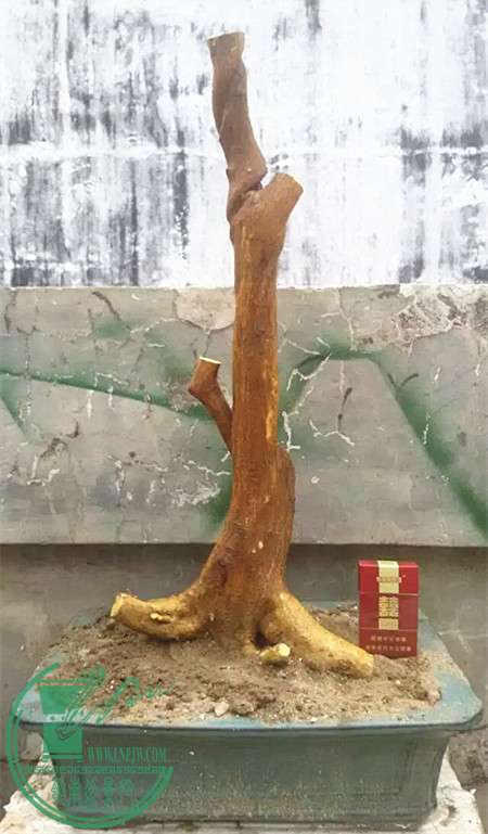 11_.jpg