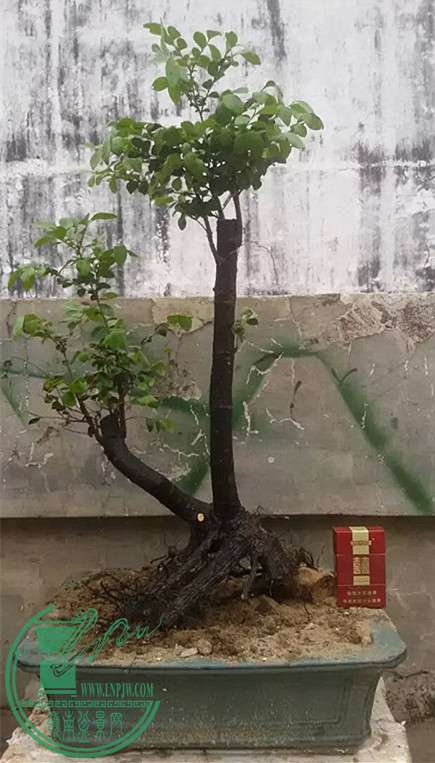 14_.jpg
