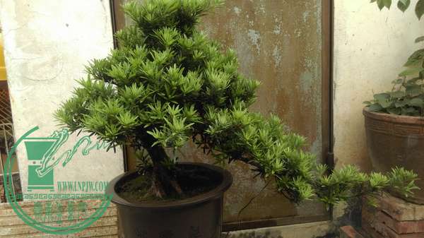IMAG0322.jpg