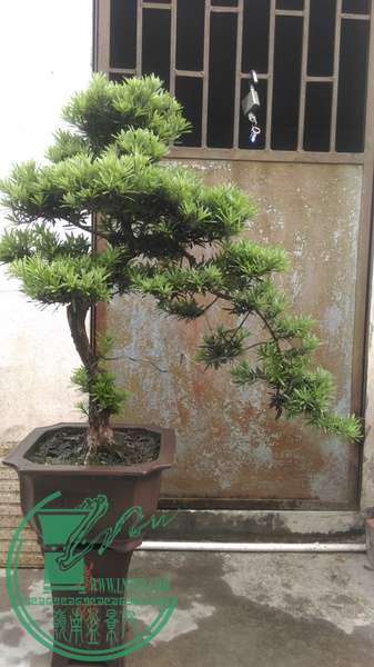 IMAG0320.jpg