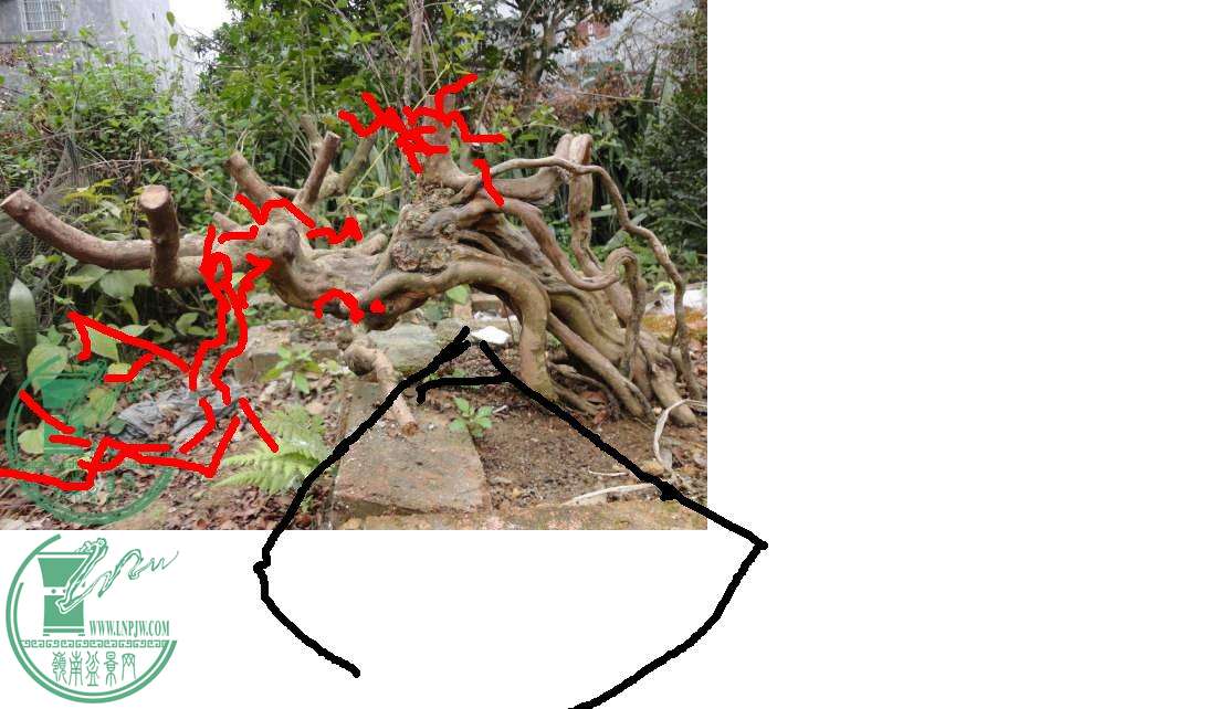 223557jr86btuzrl0pplk6.jpg.thumb (1).jpg