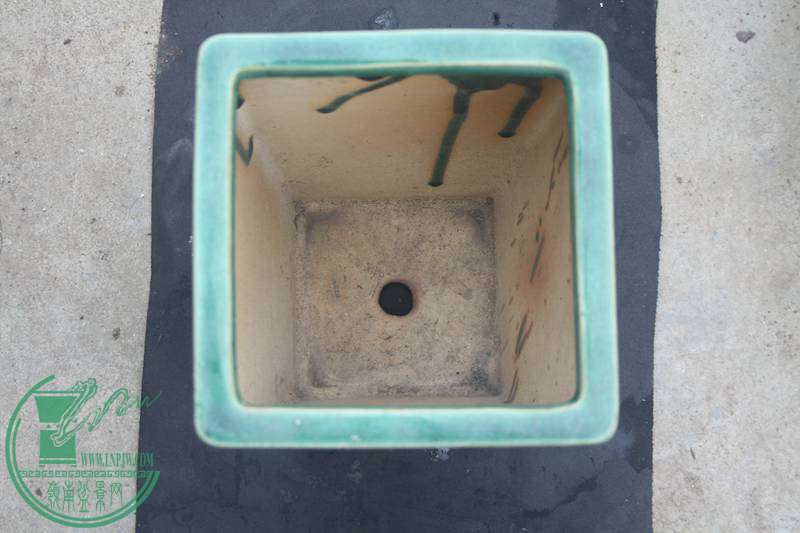 Ƭ20131026ۺ 3047.jpg