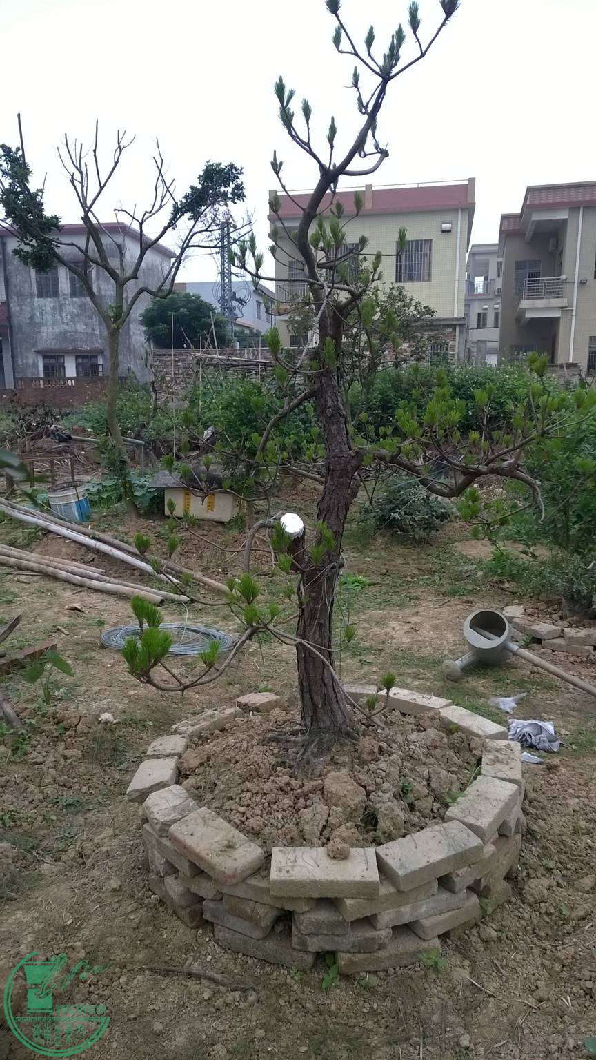 QQͼƬ20150410204816.jpg