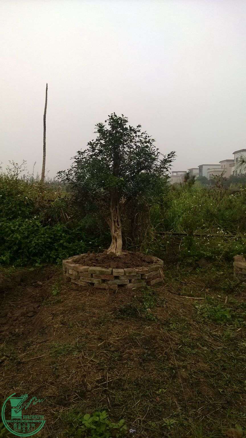 QQͼƬ20150410205332.jpg