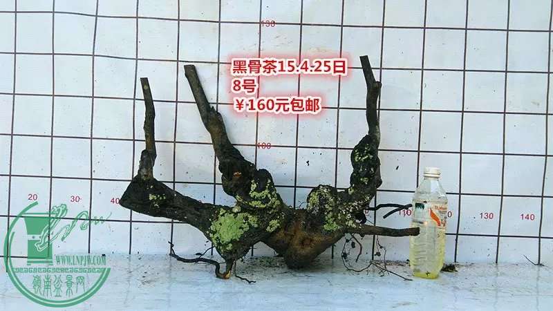 psb (14).jpg