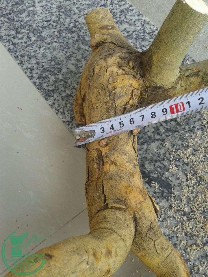 QQͼƬ20150427143553.jpg