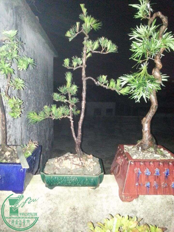 Сɽ