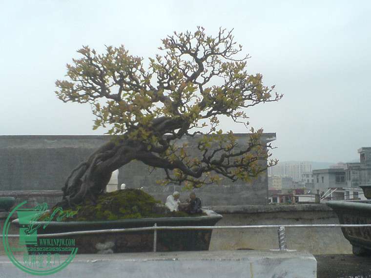 DSC01381_.jpg