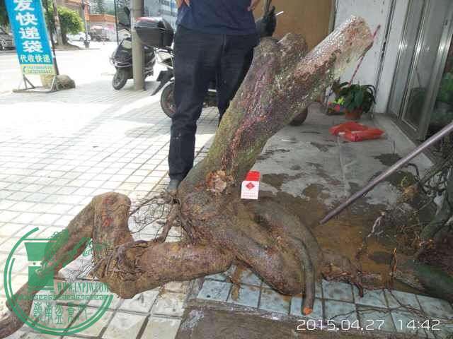 QQͼƬ20150428120809.jpg