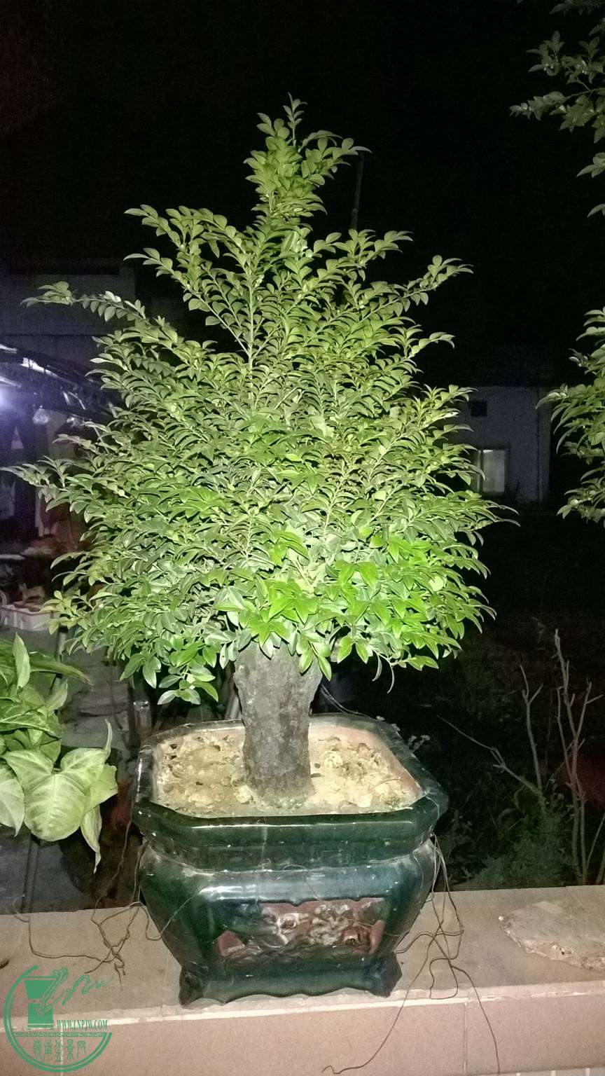 WP_20150429_025.jpg