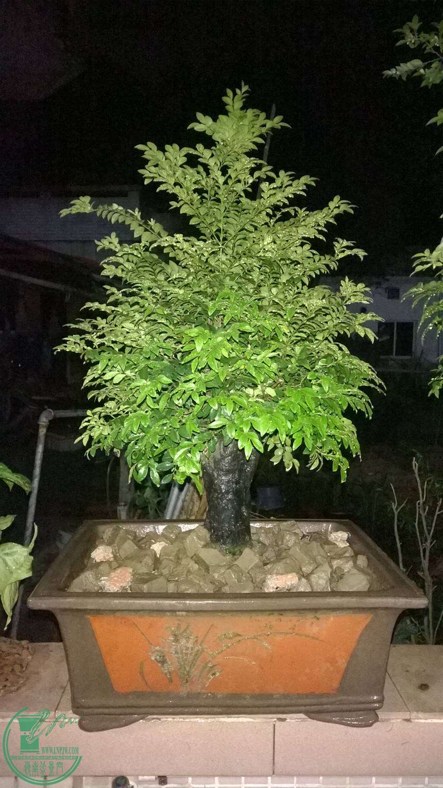 WP_20150429_041.jpg
