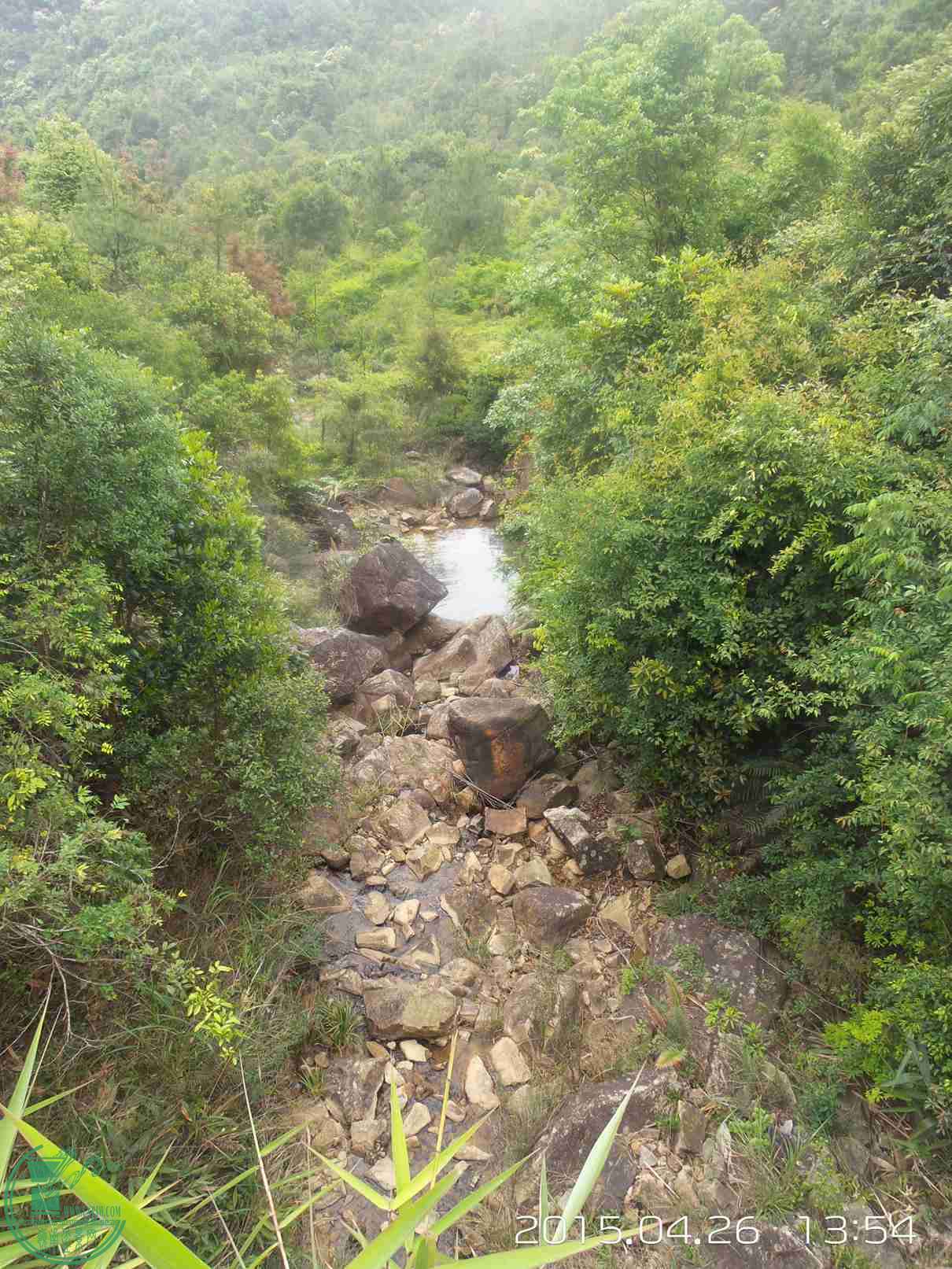 20150426_135421.jpg