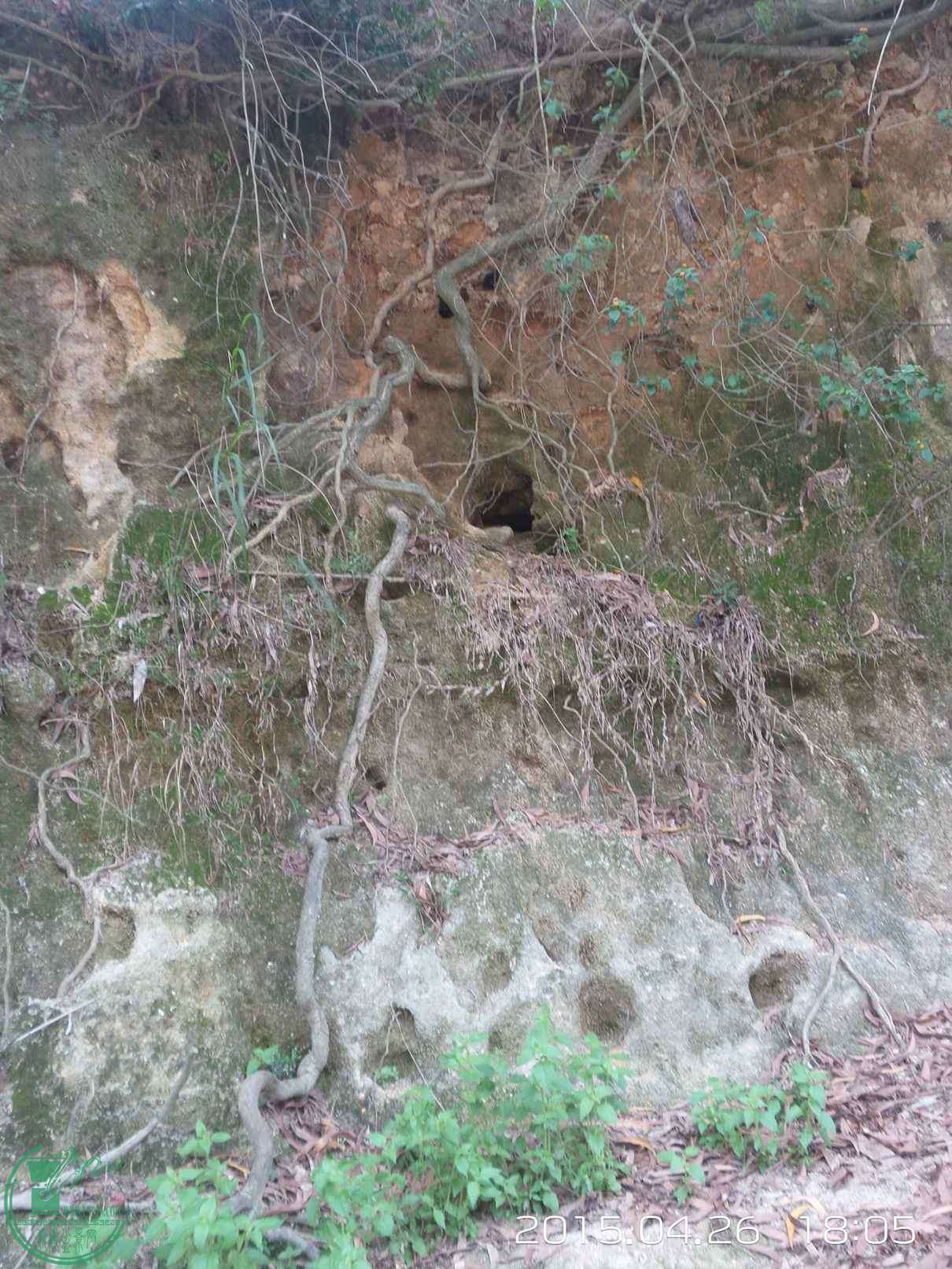 20150426_180540.jpg