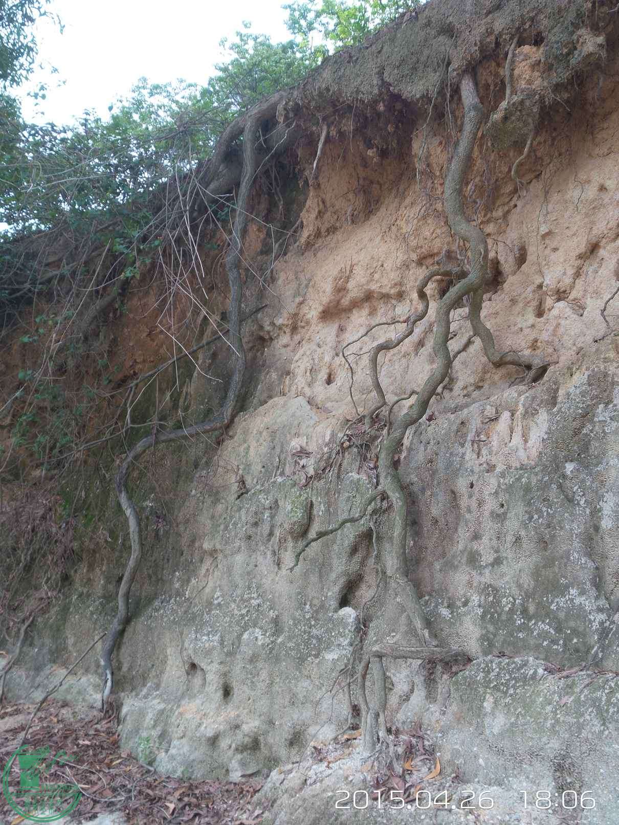 20150426_180602.jpg