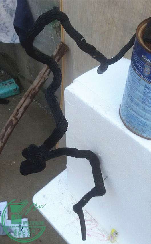 7_.jpg