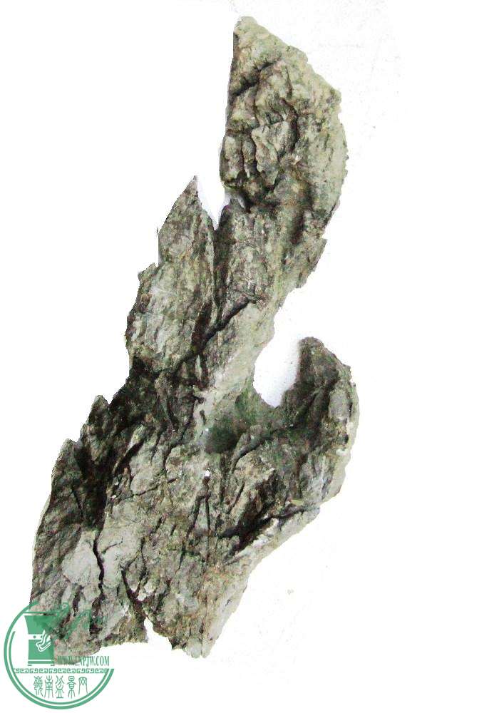 DSCF6296.JPG