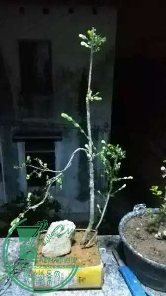 3D01201934850C7D37777142FB0D0224.jpg