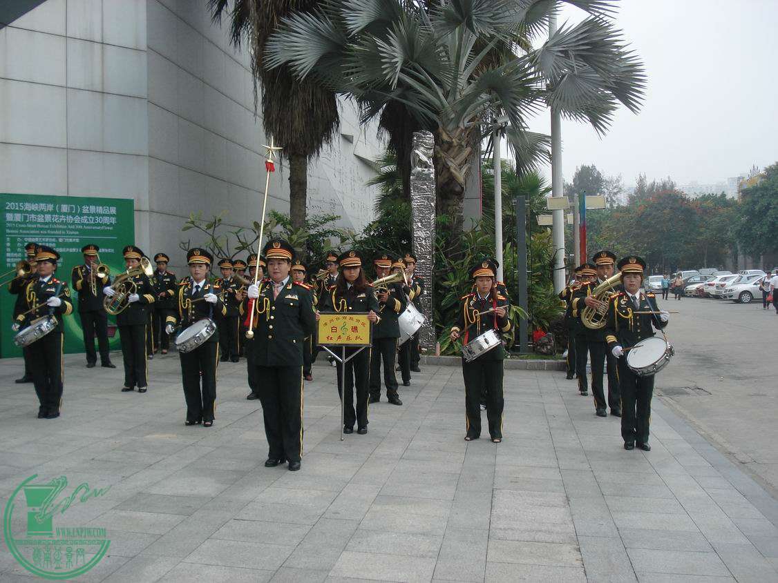 С DSC00294.JPG