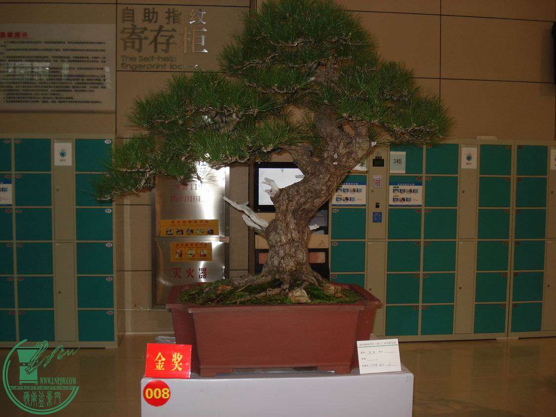 С DSC00300.JPG