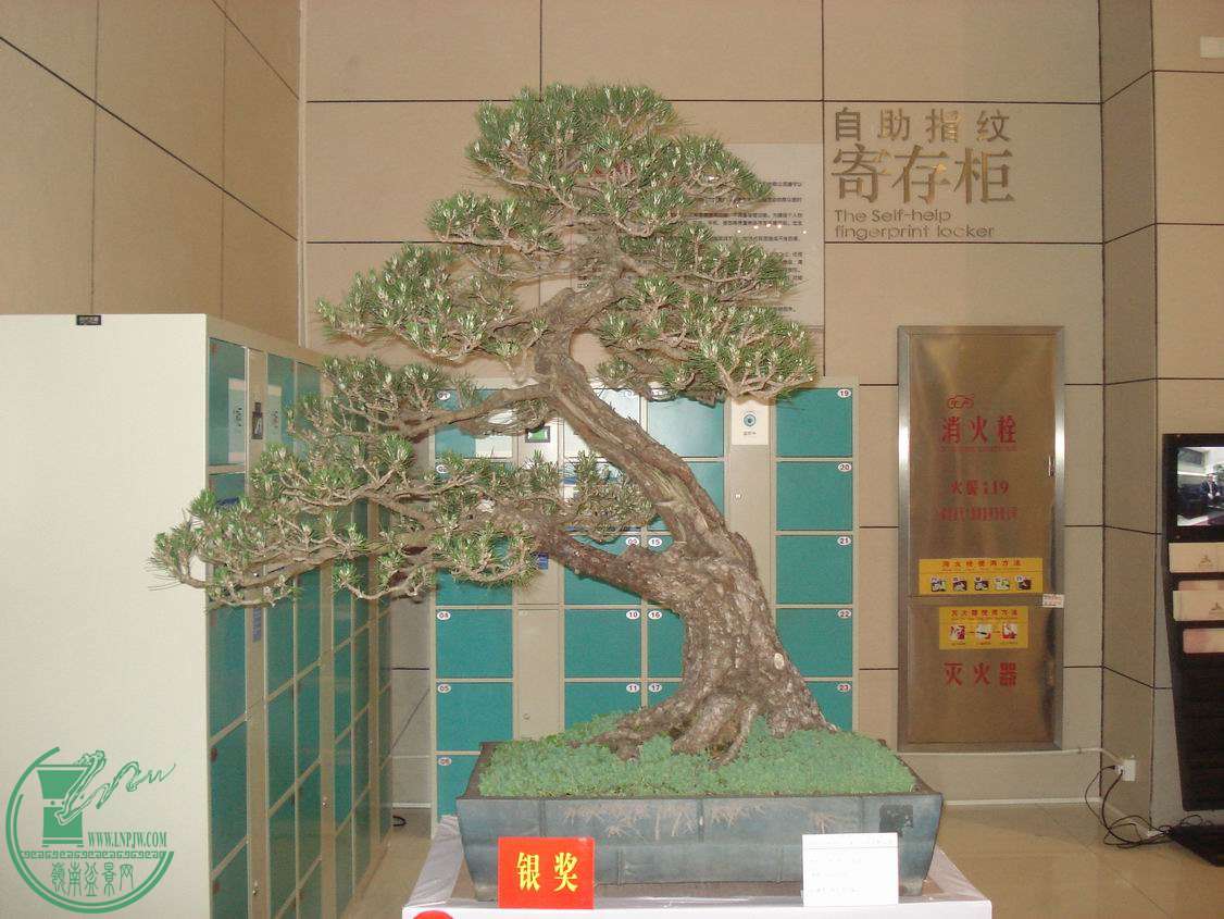 С DSC00301.JPG