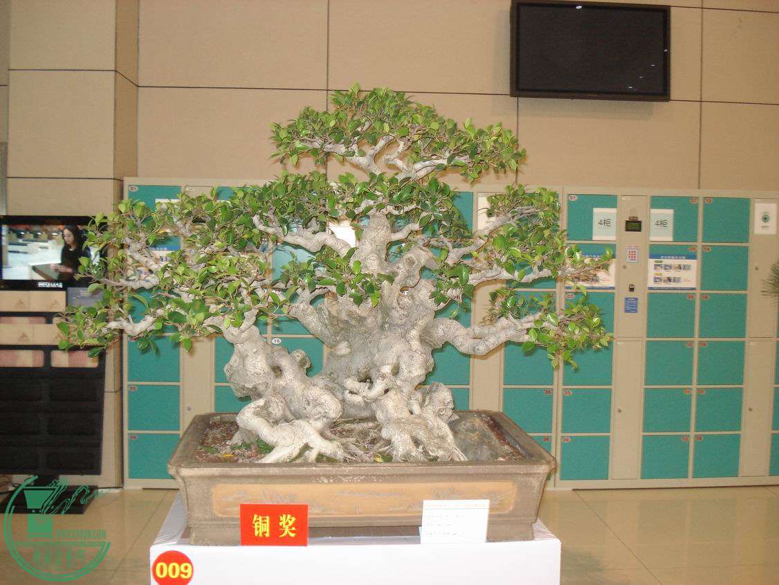 С DSC00302.JPG