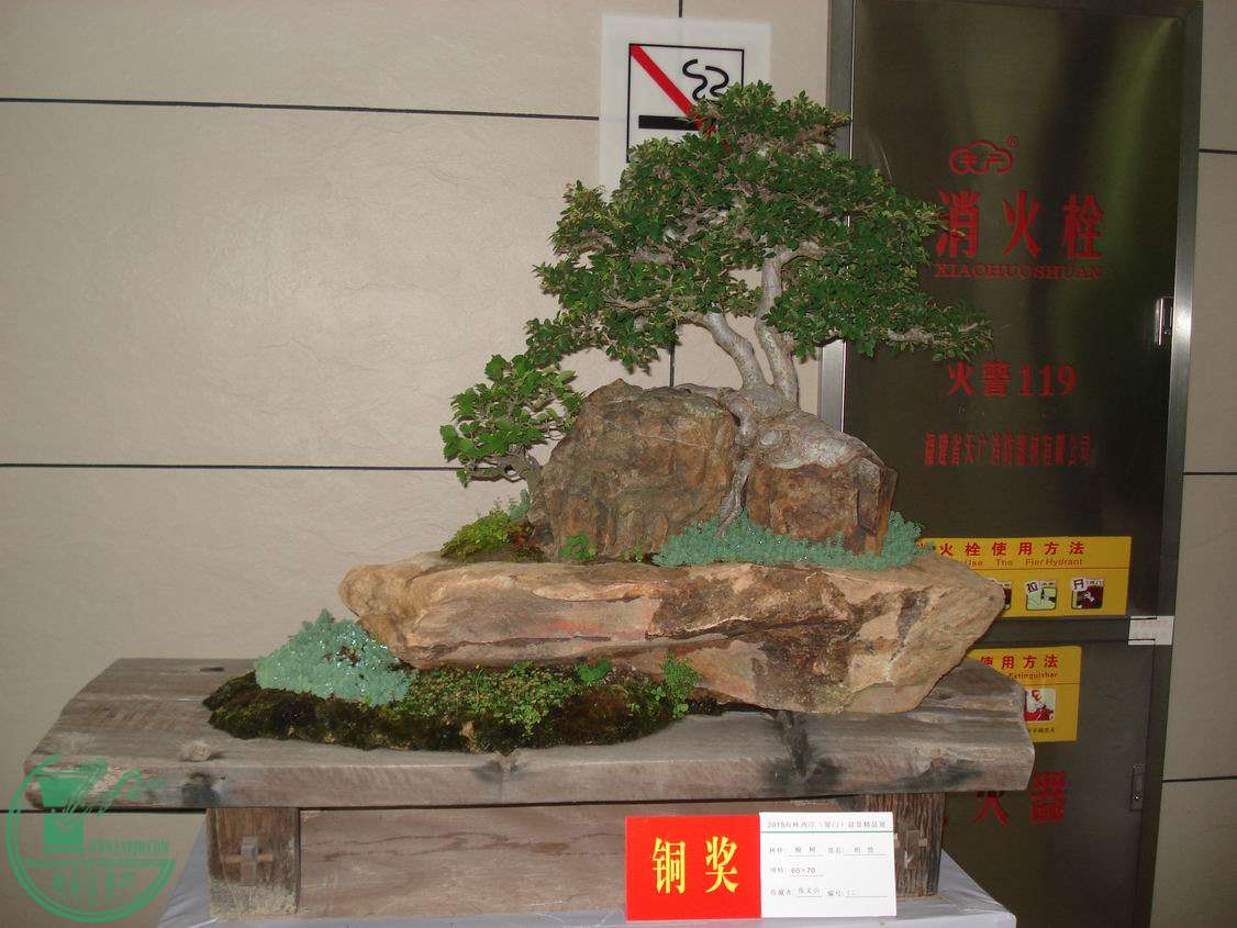 С DSC00316.JPG