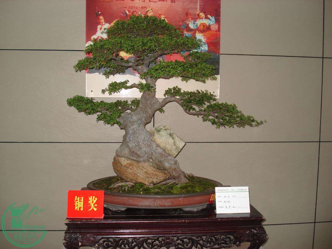 С DSC00318.JPG