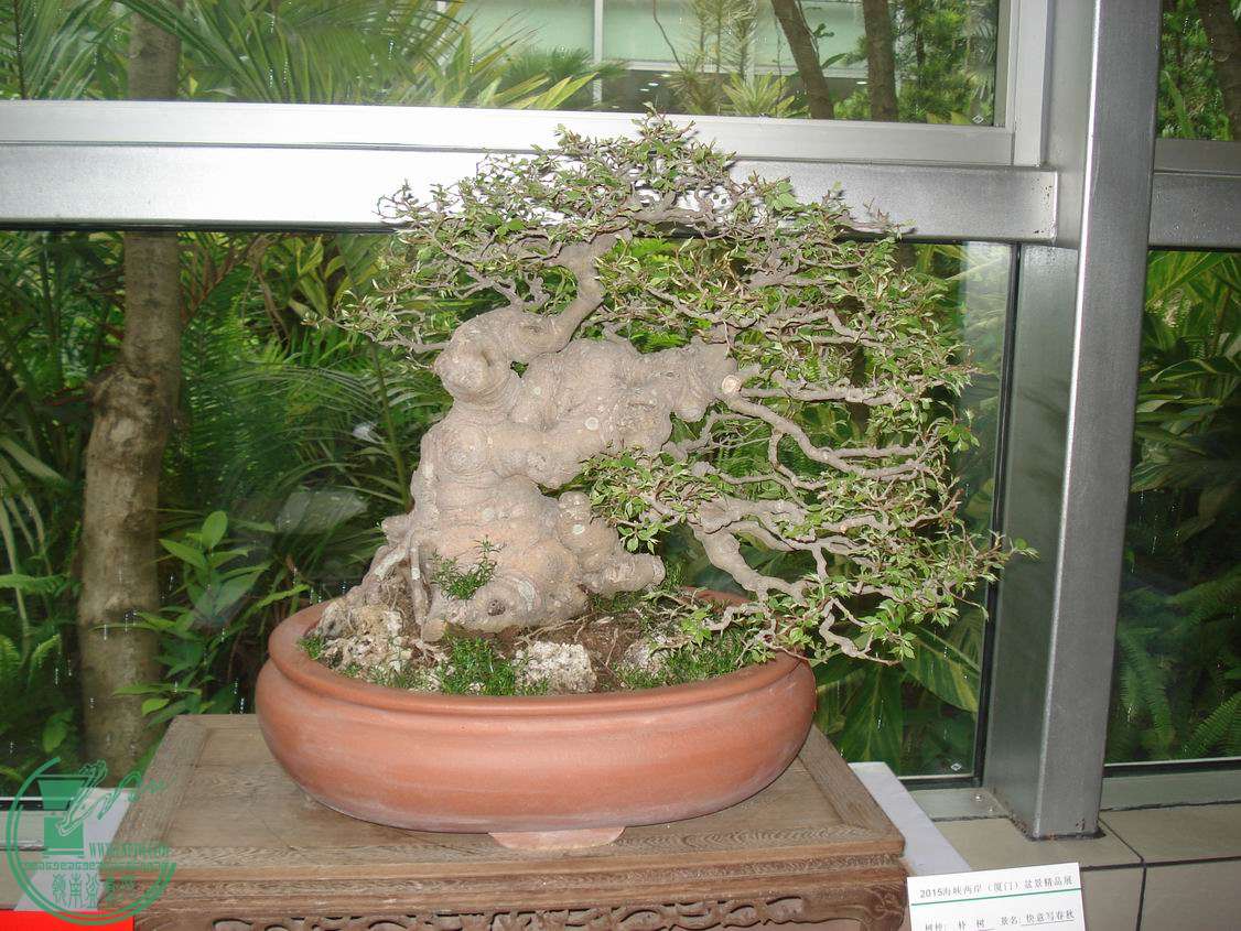 С DSC00321.JPG