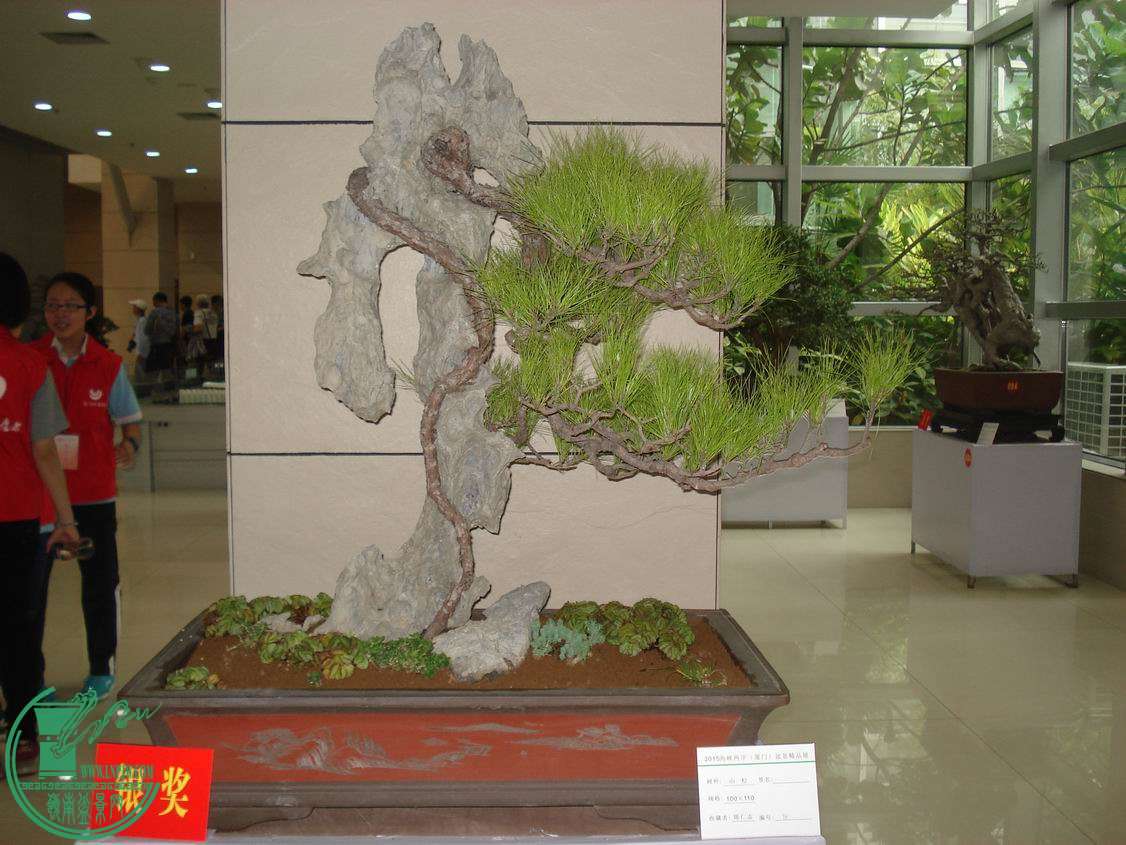 С DSC00368.JPG