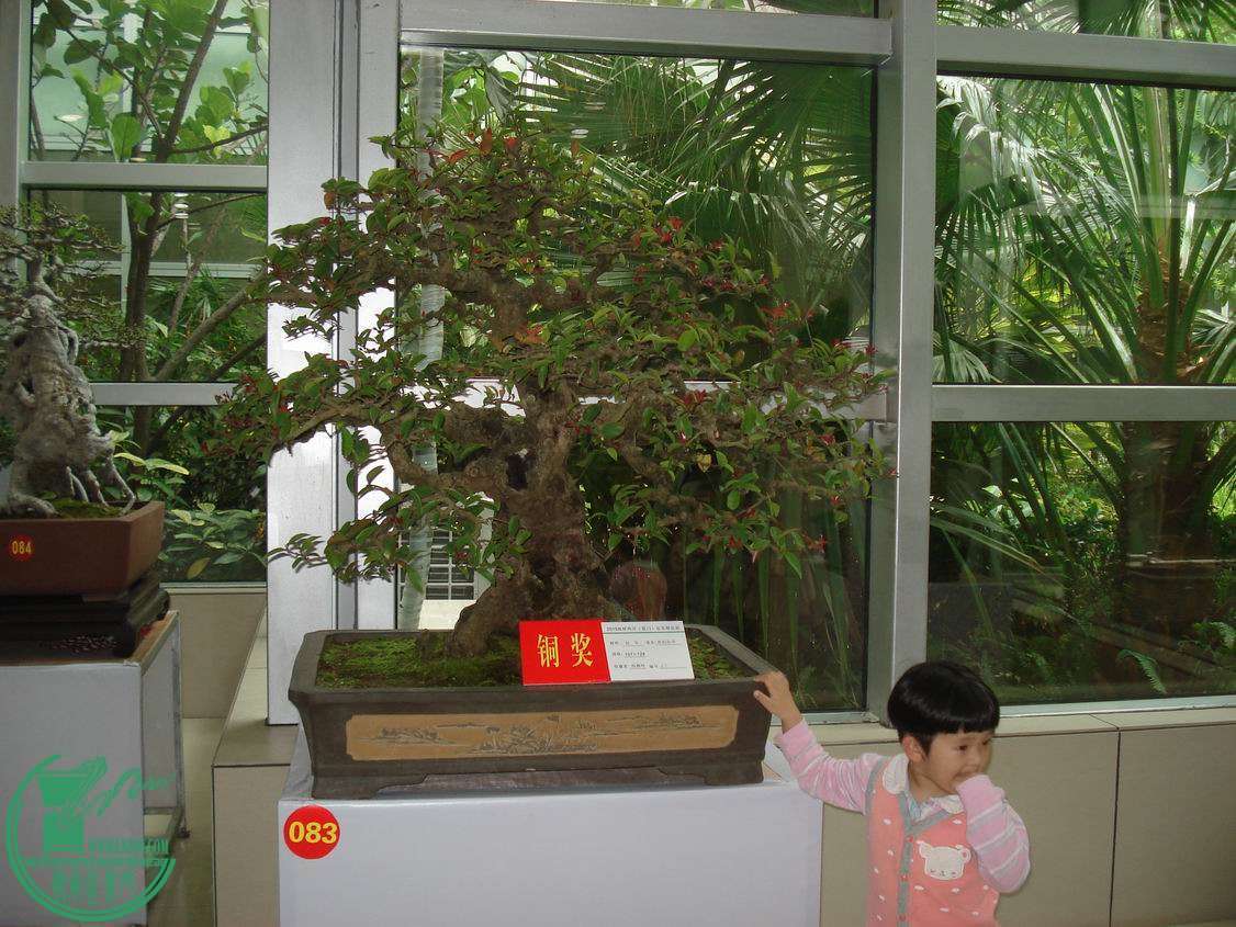 С DSC00370.JPG