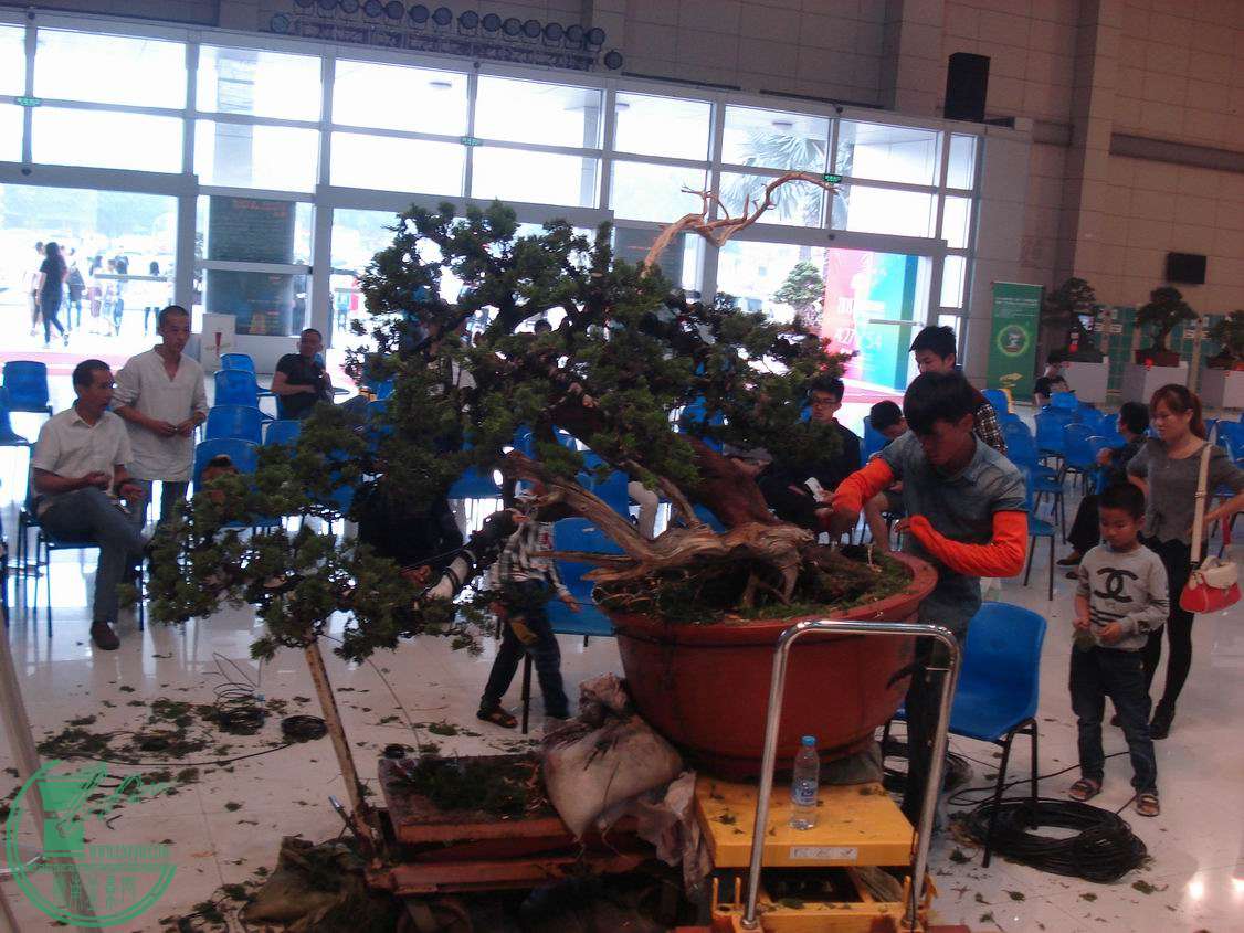 С DSC00380.JPG