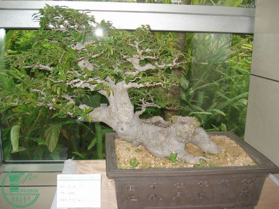 С DSC00400.JPG