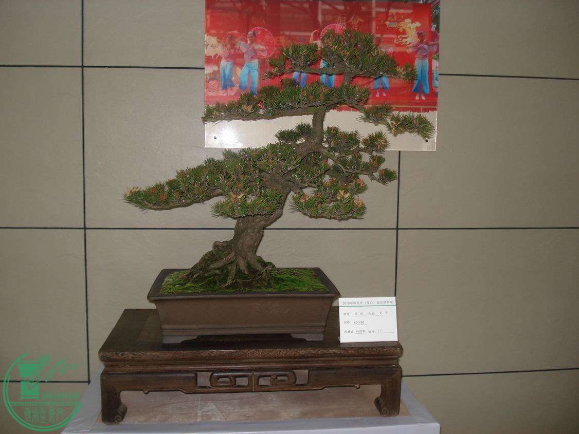 С DSC00403.JPG