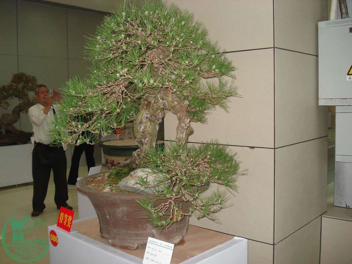 С DSC00345.JPG