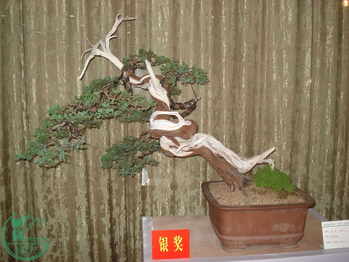 С DSC00348.JPG