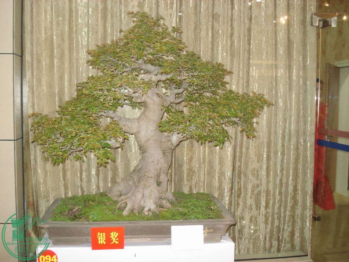 С DSC00349.JPG