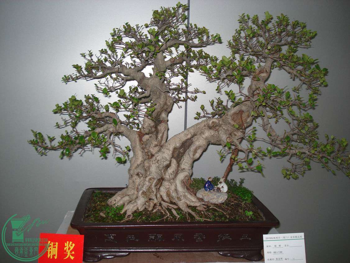 С DSC00351.JPG