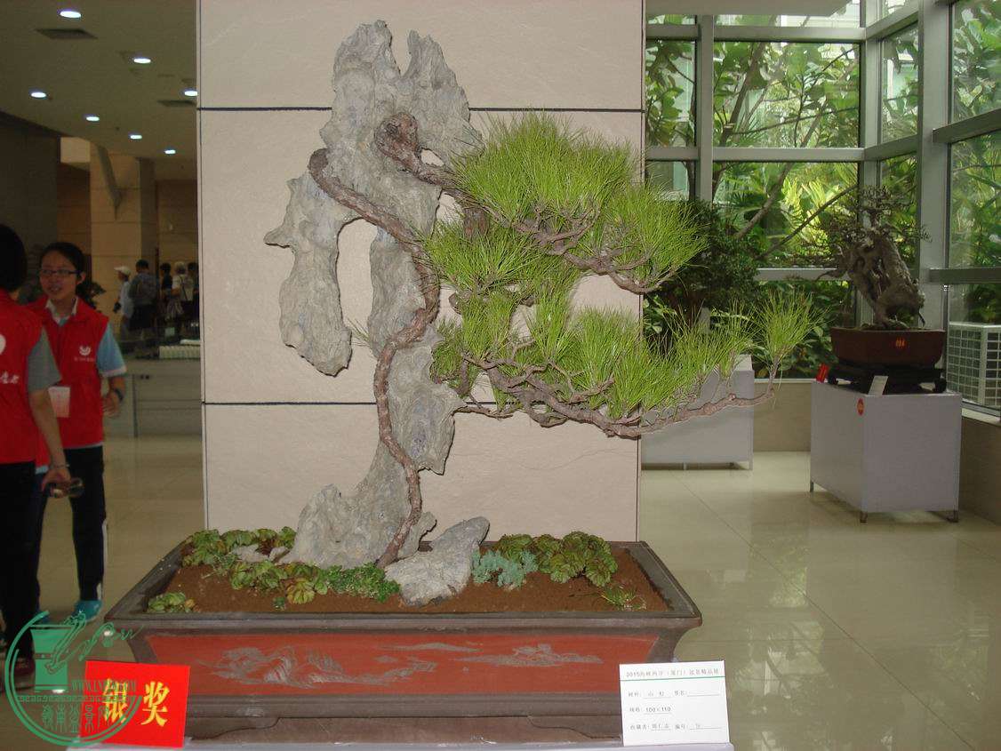 С DSC00368.JPG
