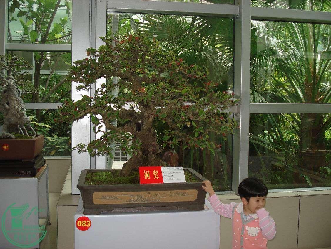 С DSC00370.JPG