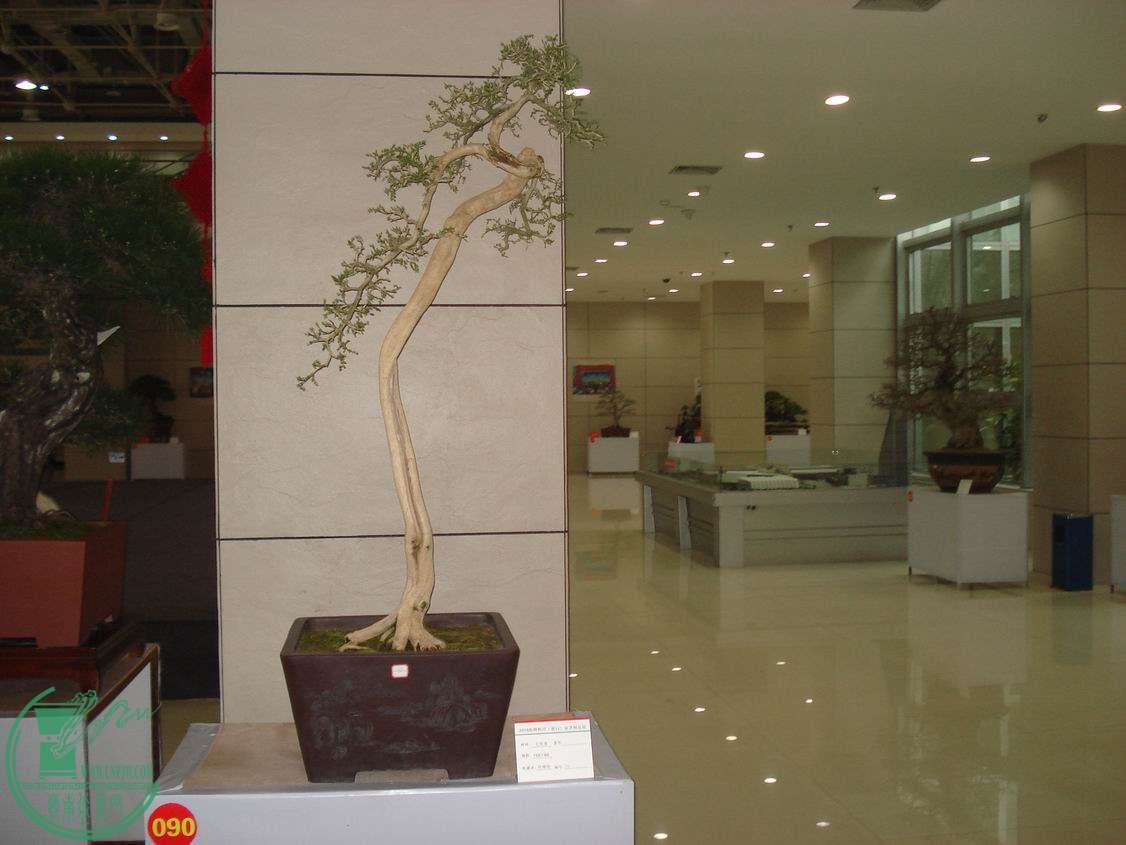 С DSC00419.JPG
